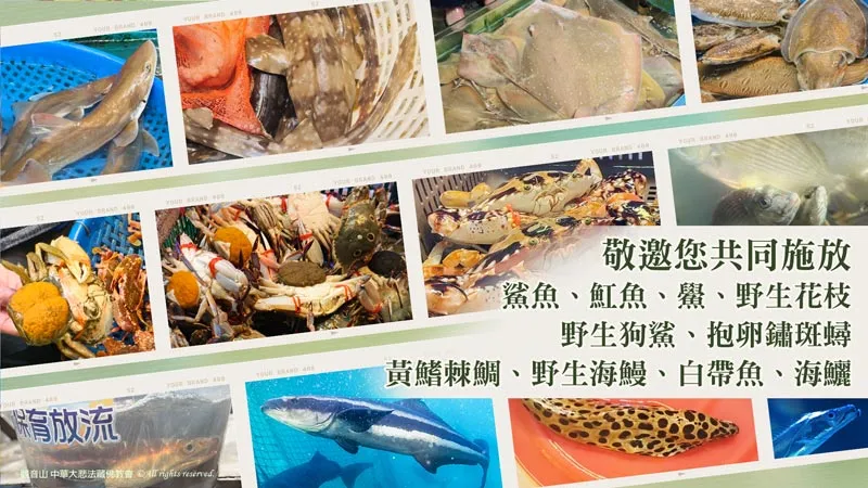 觀音山 保育放流 主要放流物種