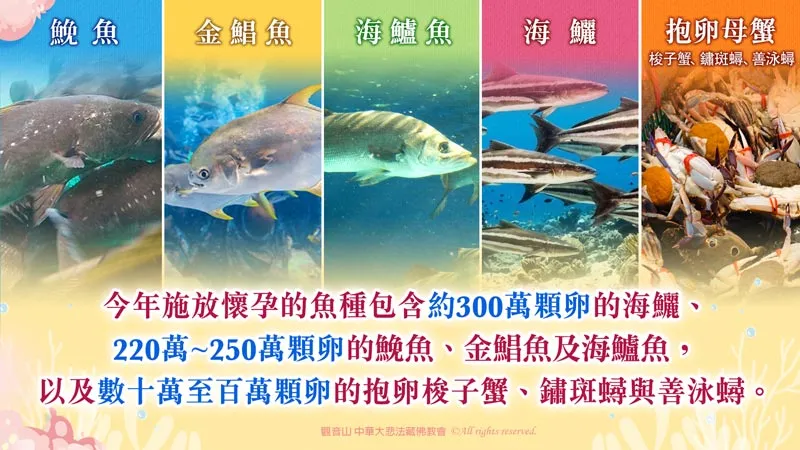 為什麼要廣結善緣?廣結善緣意思為何?廣結善緣的好處是什麼?五個廣結善緣的方法報你知