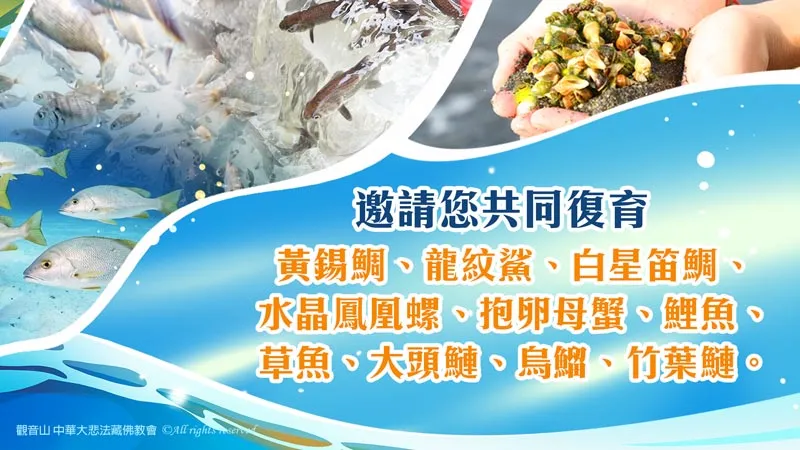 觀音山 保育放流 主要放流物種