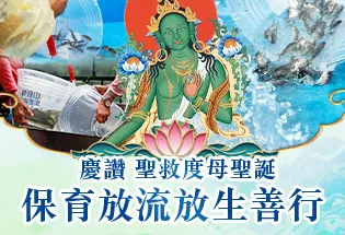 慶讚 度母聖誕 保育放流放生善行,