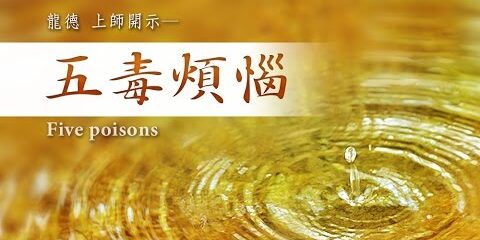 龍德嚴淨仁波切:五毒煩惱 龍德嚴淨仁波切五毒煩惱