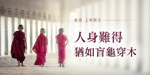 龍德上師:人身難得,猶如盲龜穿木 龍德上師 人身難得 猶如盲龜穿木