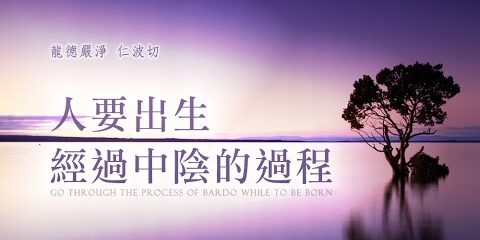 龍德嚴淨 仁波切:人要出生經過中陰的過程 龍德嚴淨仁波切人要出生經過中陰的過程