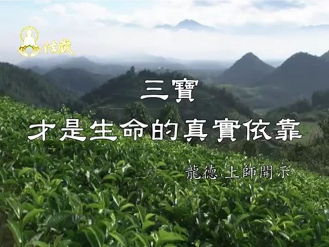 龍德嚴淨仁波切三寶才是生命的真實依靠