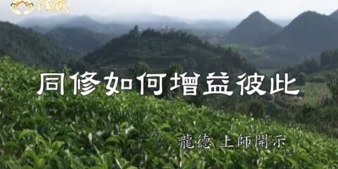 同修如龍德上師:同修如何增益彼此何增益彼此 龍德上師 同修如何增益彼此