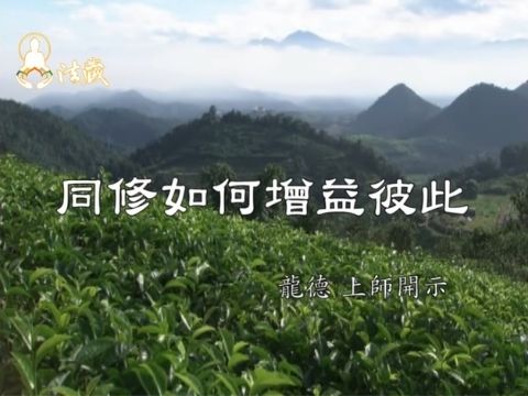 龍德上師 同修如何增益彼此