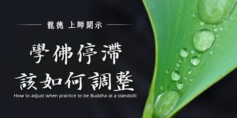 龍德上師:學佛停滯該如何調整 龍德上師學佛停滯該如何調整