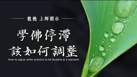 龍德上師學佛停滯該如何調整
