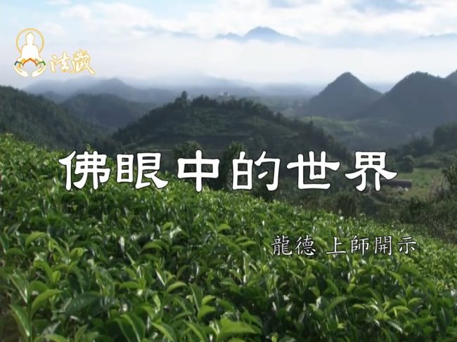 龍德上師佛眼中的世界