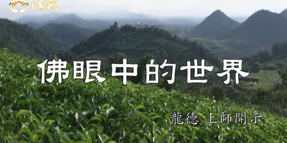 龍德上師佛眼中的世界