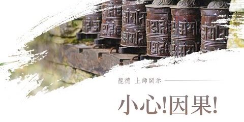 龍德上師:小心 ! 因果 龍德上師 小心 因果