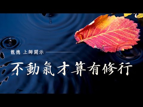 龍德上師 不動氣才算有修行