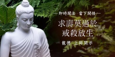 龍德上師:求壽莫過於戒殺放生 龍德上師求壽莫過於戒殺放生