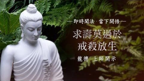 龍德上師求壽莫過於戒殺放生