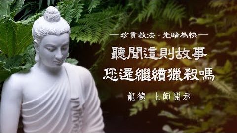 龍德上師 聽聞這則故事 您還繼續獵殺嗎