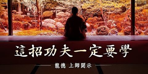 龍德上師:這招功夫一定要學 龍德上師這招功夫一定要學