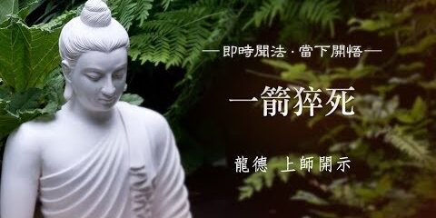 龍德上師:一箭猝死 龍德上師 一箭猝死