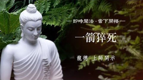 龍德上師 一箭猝死