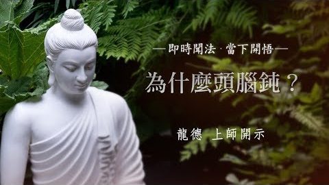 龍德上師為什麼頭腦鈍