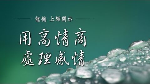 龍德上師用高情商處理感情