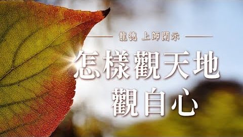 龍德上師 怎樣觀天地 觀自心