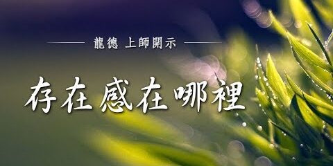 龍德上師:存在感在哪裡 龍德上師 存在感在哪裡