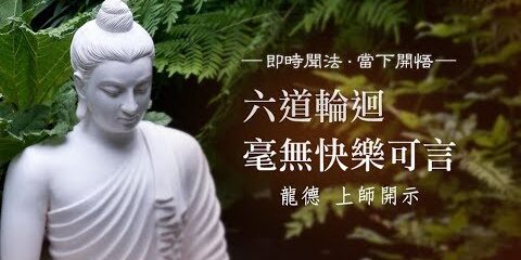 龍德上師:六道輪迴毫無快樂可言 龍德上師六道輪迴毫無快樂可言