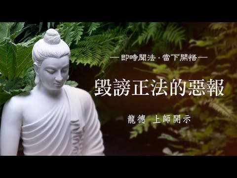 龍德上師毀謗正法的惡報