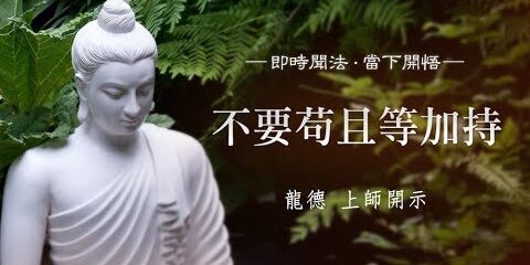 龍德上師:不要苟且等加持 龍德上師不要苟且等加持