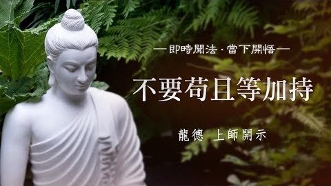 龍德上師不要苟且等加持