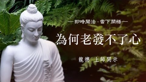龍德上師為何老發不了心