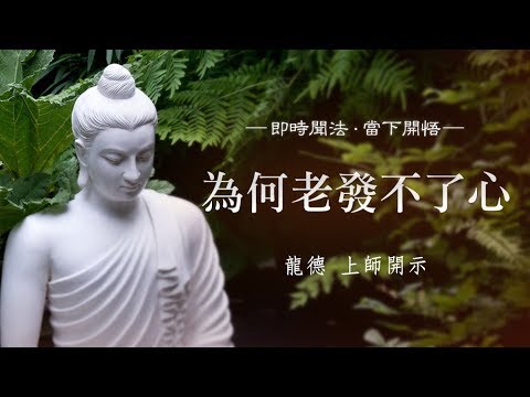 龍德上師為何老發不了心