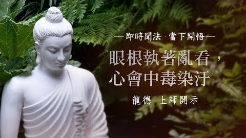 龍德上師眼根執著亂看心會中毒染汙