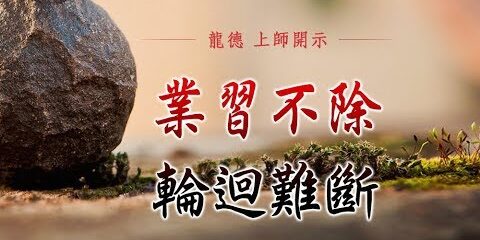 龍德上師:業習不除 輪迴難斷 龍德上師 業習不除 輪迴難斷