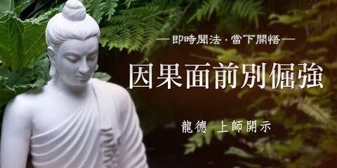 龍德上師:因果面前別倔強