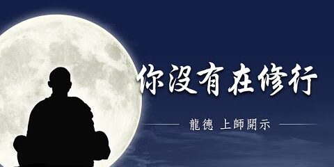 龍德上師:你沒有在修行 龍德上師 你沒有在修行