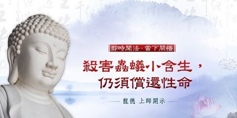 龍德上師:殺害蟲蟻小含生,仍須償還性命