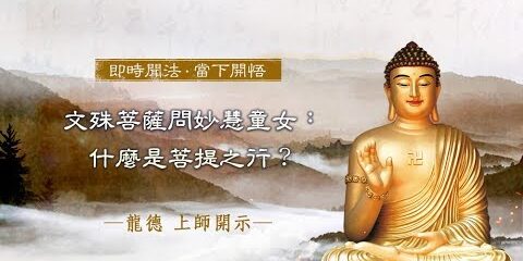 龍德上師 文殊菩薩問妙慧童女 什麼是菩提之行
