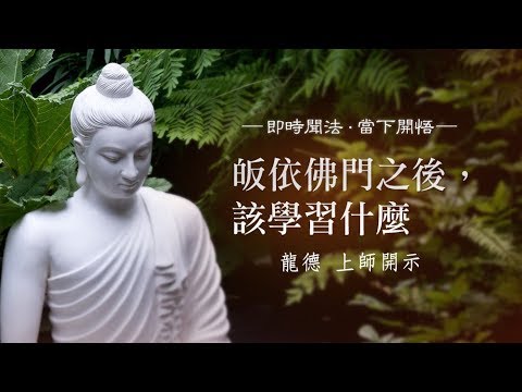 龍德上師皈依佛門之後該學習什麼