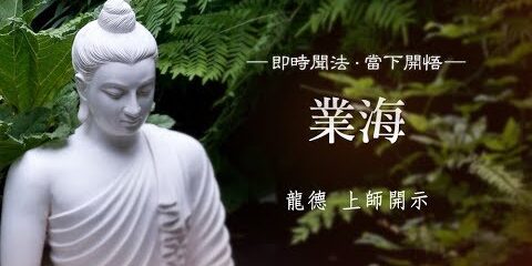 龍德上師:業海 龍德上師業海