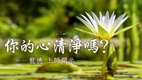 龍德上師 你的心清淨嗎