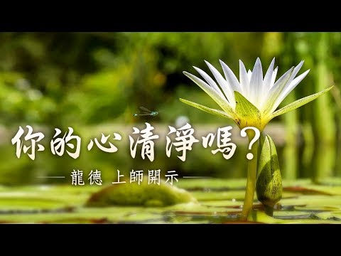 龍德上師 你的心清淨嗎