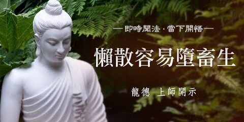 龍德上師:懶散容易墮畜生