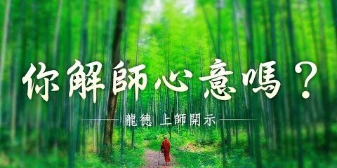 龍德上師:你解師心意嗎 龍德上師你解師心意嗎