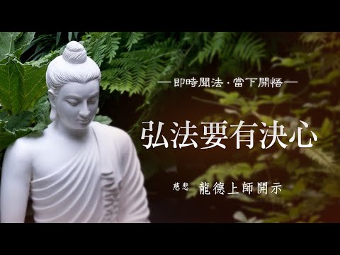 龍德上師弘法要有決心