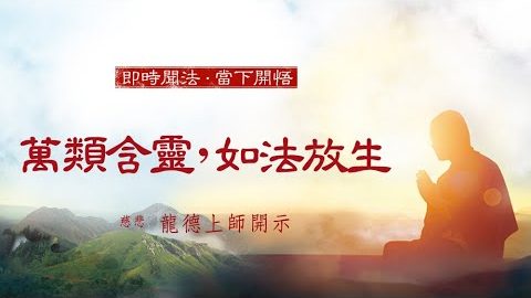 龍德上師萬類含靈如法放生
