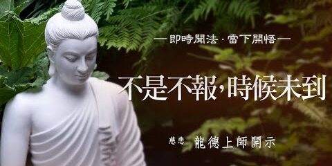龍德上師:不是不報,時候未到 龍德上師不是不報時候未到