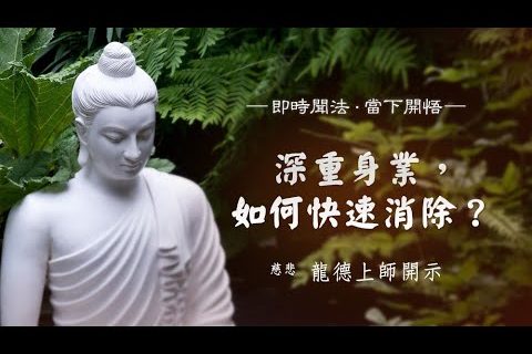 龍德上師深重身業如何快速消除