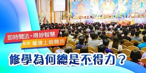 龍德上師:修學為何總是不得力? 龍德上師修學為何總是不得力