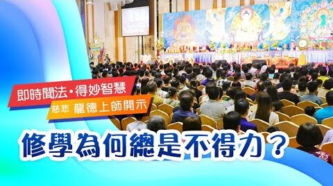 龍德上師修學為何總是不得力